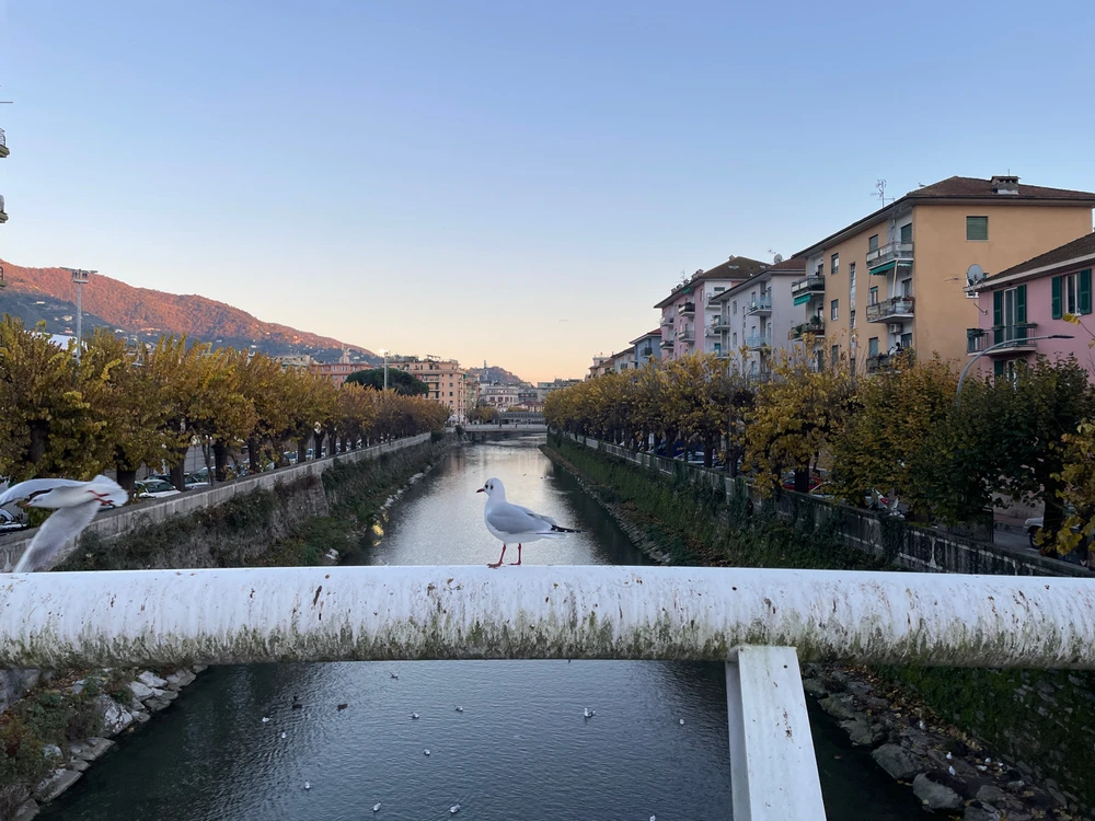 GIF caricata da Antonino