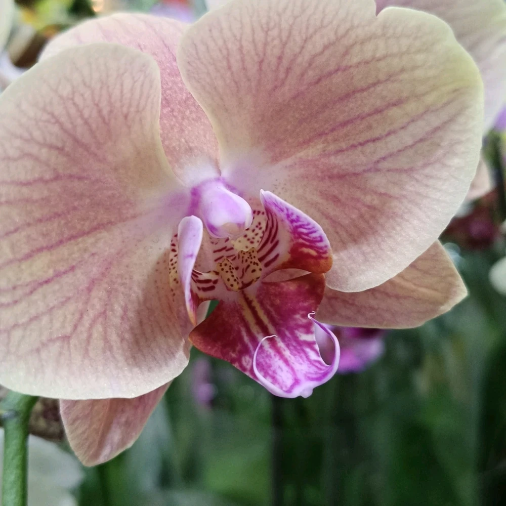 Gambar diunggah dening J