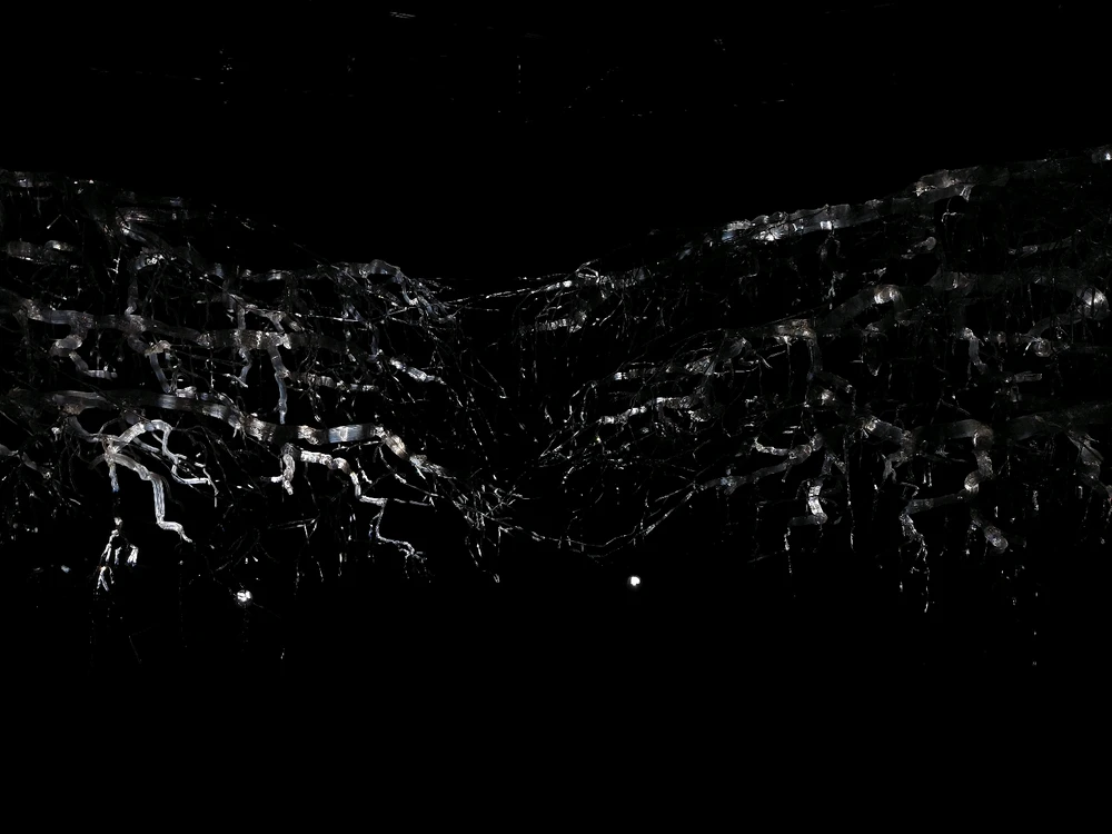 Luna által feltöltött kép