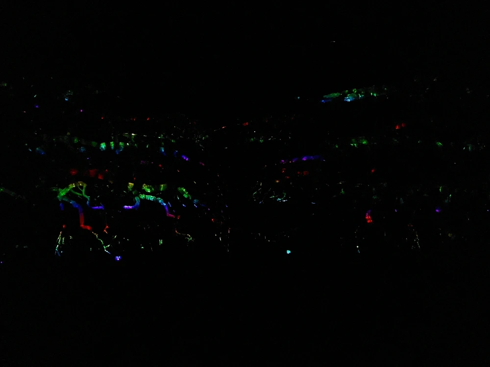 Luna által feltöltött kép