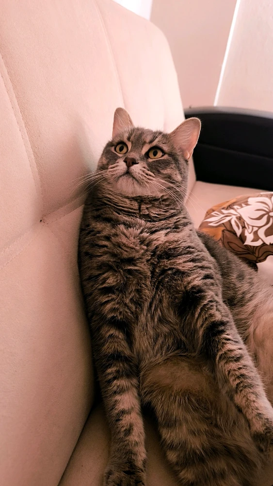 Semih tarafından yüklenen görsel