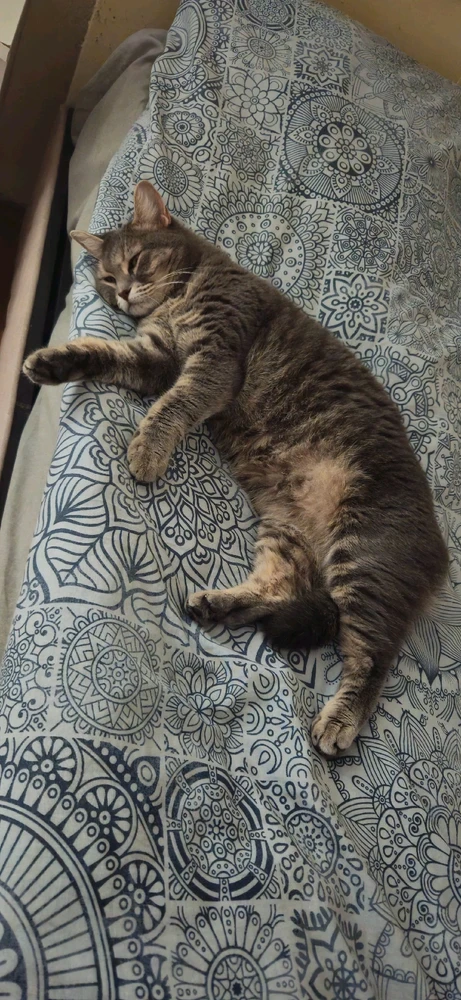 Semih tarafından yüklenen görsel