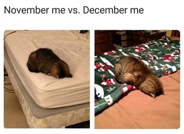 RainSpark által feltöltött GIF