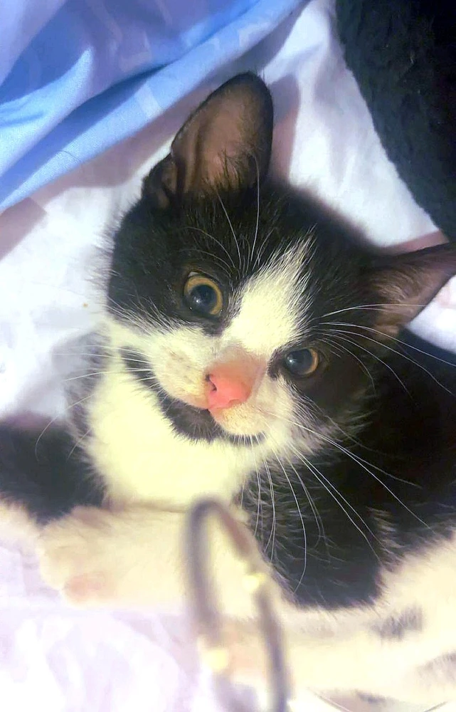 GIF uploaded by • Bill •