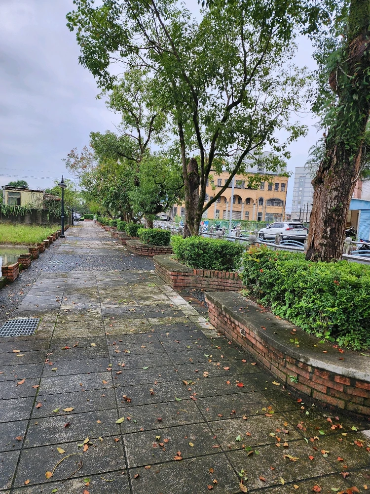 回首向來蕭瑟處，歸去，也無風雨也無晴。-蘇軾