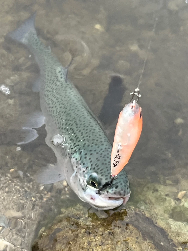 GIF caricata da Vins