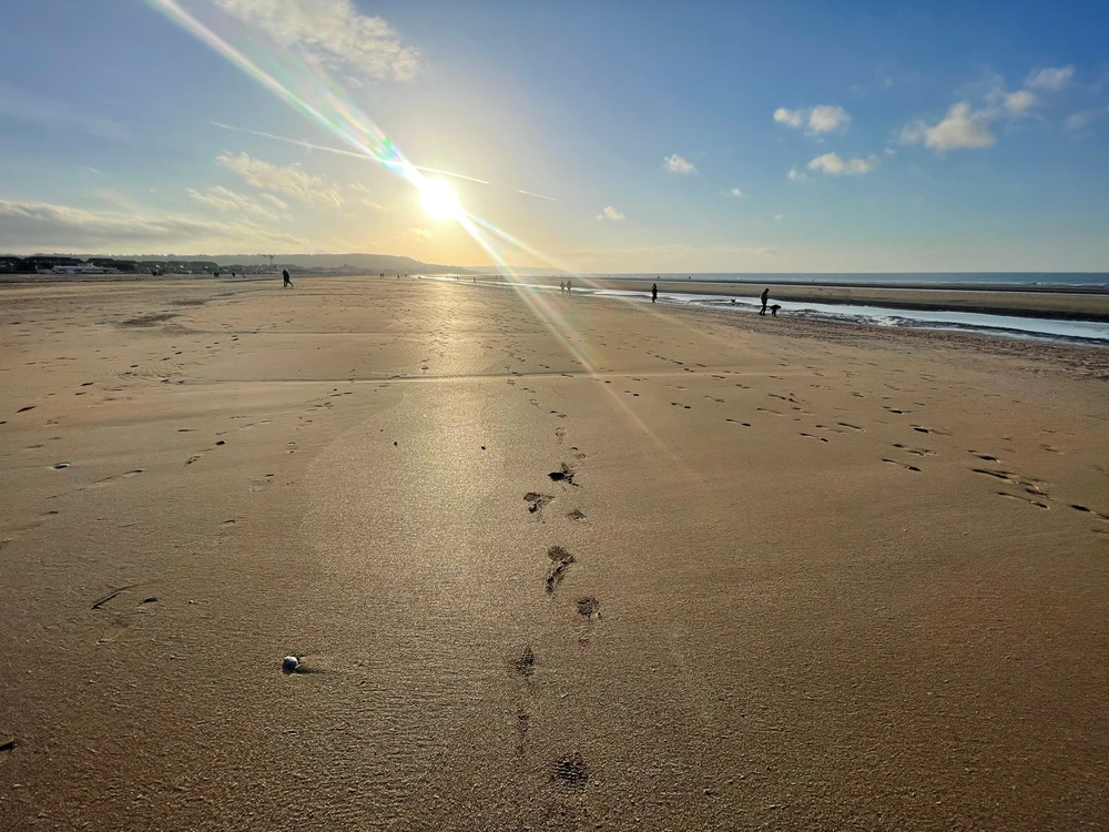 Immagine caricata da Andrea