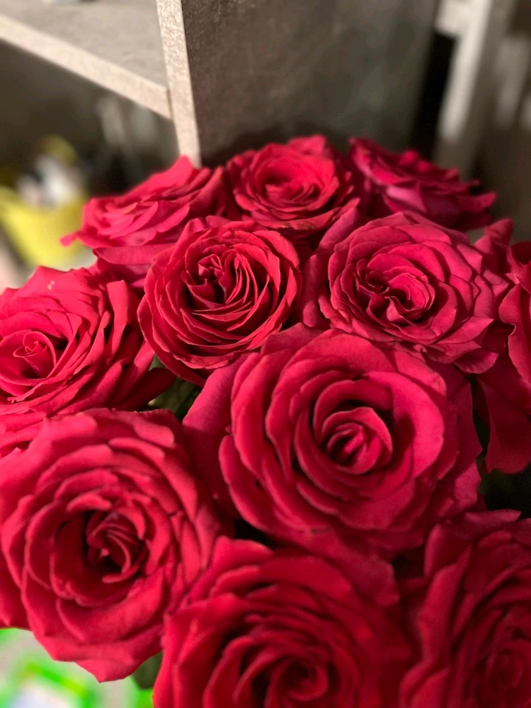 Гіфку завантажив Elen