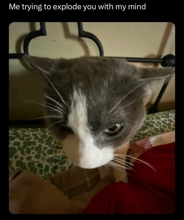 GIF uploaded by Meg