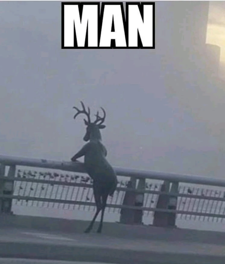 GIF caricata da Simon