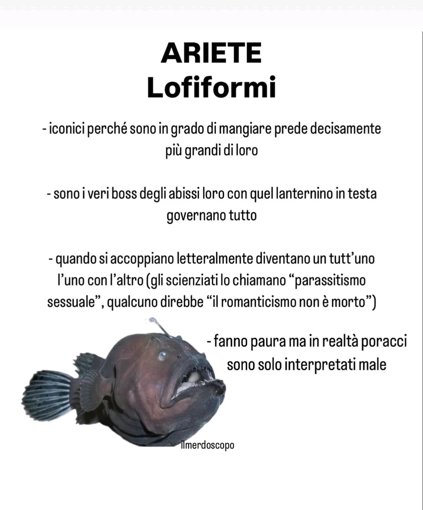 Immagine caricata da Nanaki