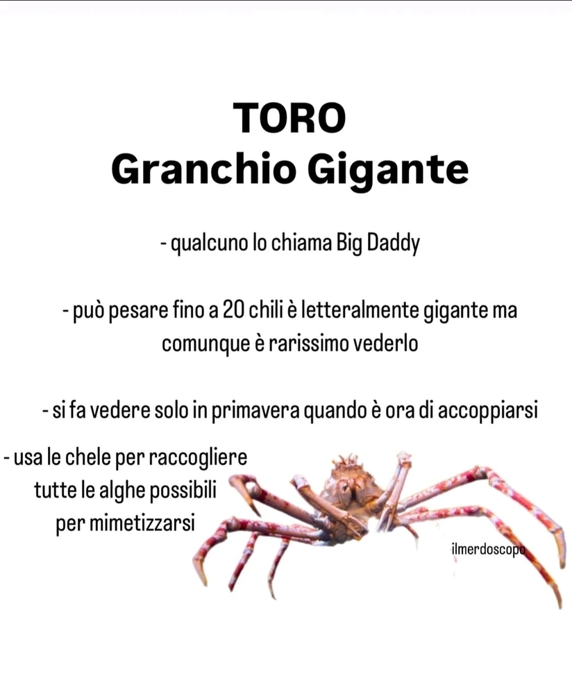 Immagine caricata da Nanaki