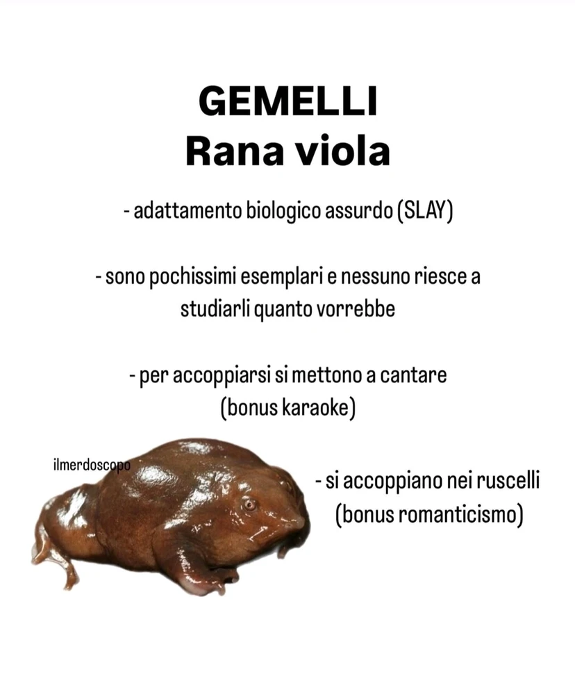 Immagine caricata da Nanaki