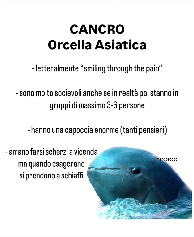 Immagine caricata da Nanaki