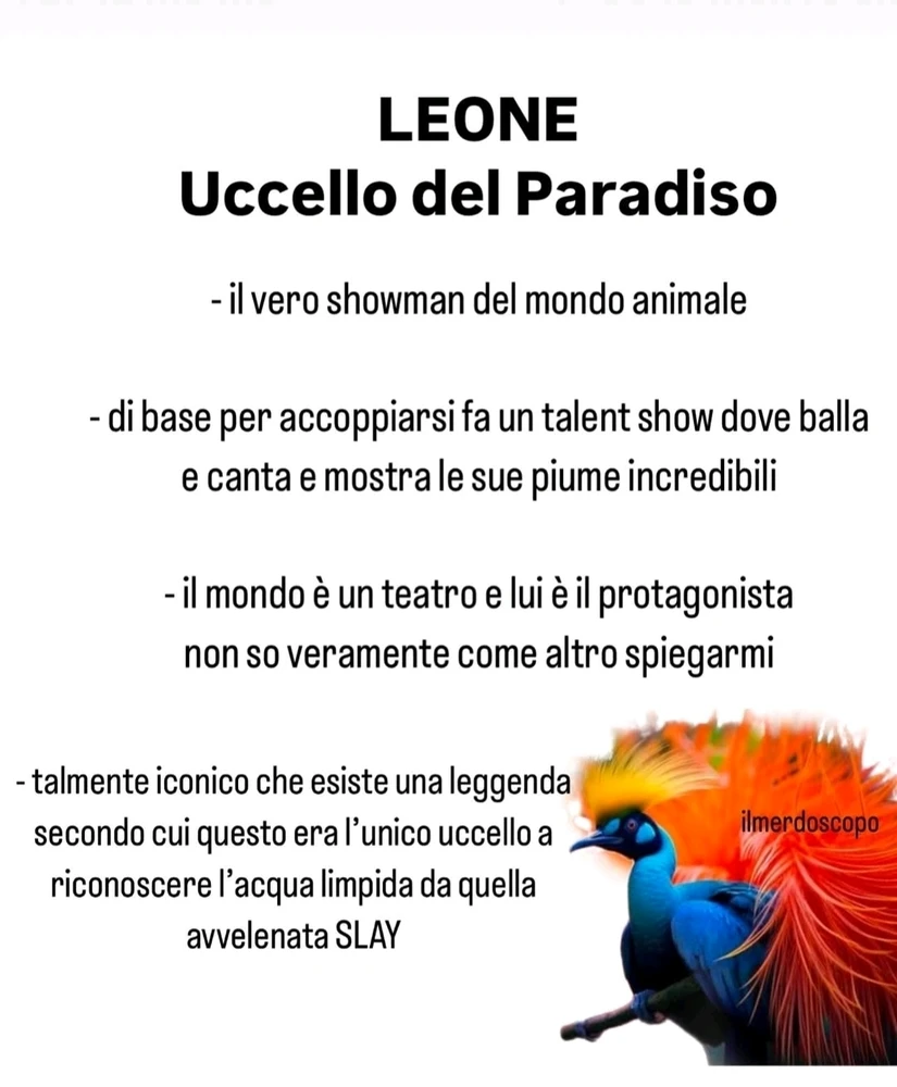 Immagine caricata da Nanaki