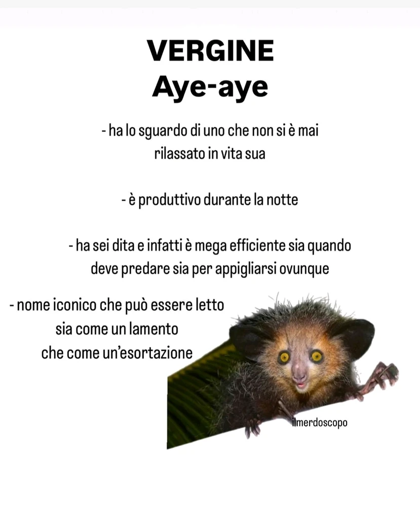 Immagine caricata da Nanaki