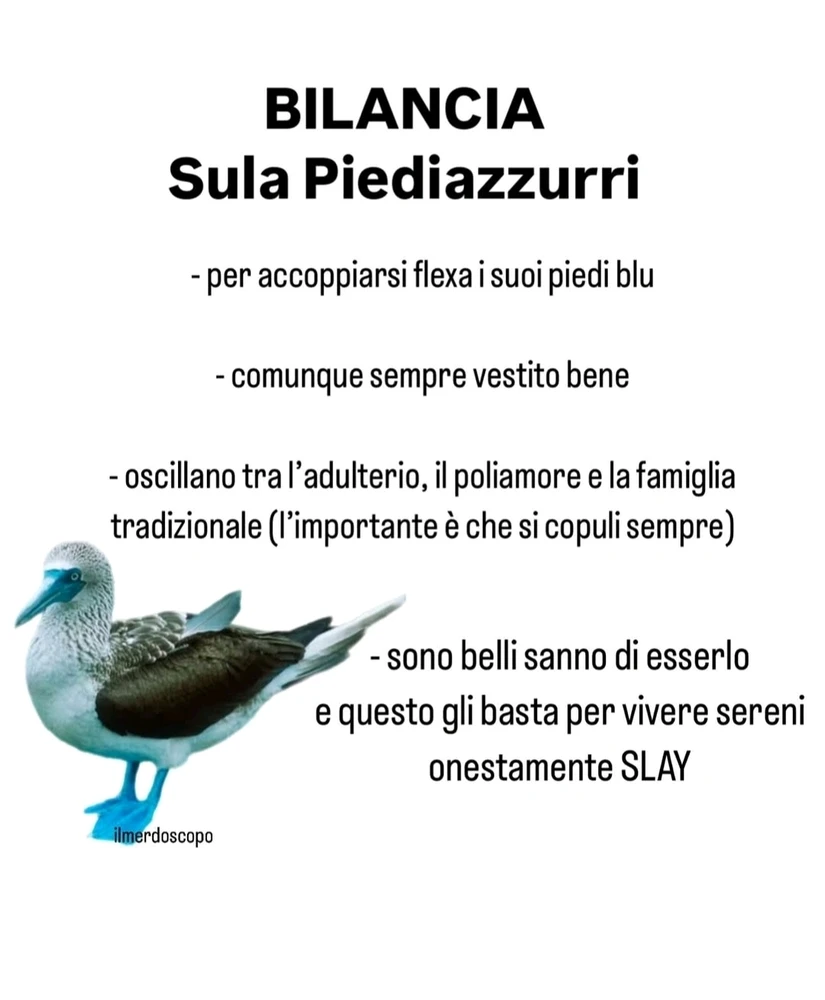 Immagine caricata da Nanaki