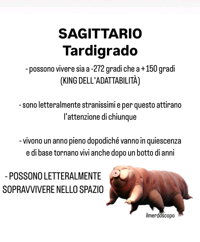 Immagine caricata da Nanaki