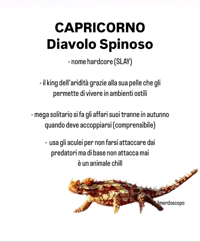 Immagine caricata da Nanaki