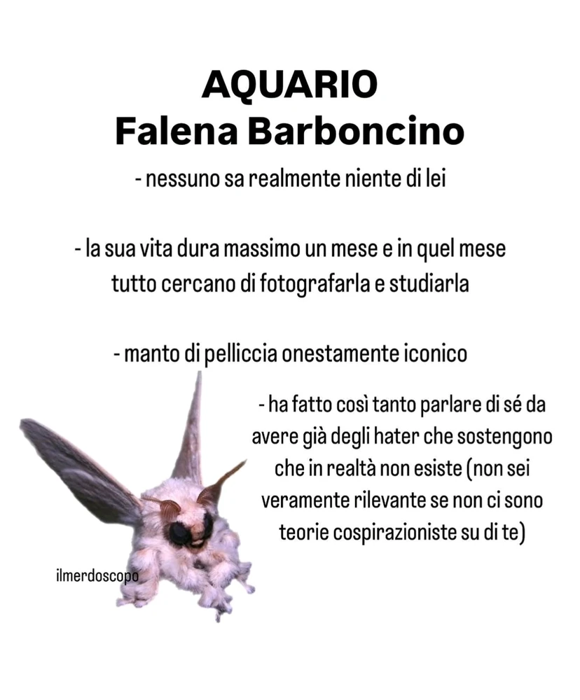 Immagine caricata da Nanaki