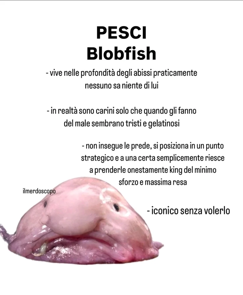 Immagine caricata da Nanaki