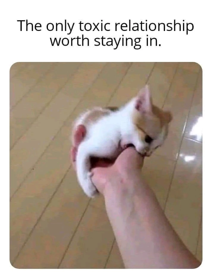 GIF uploaded by α»α©αα’αΏαͺα©