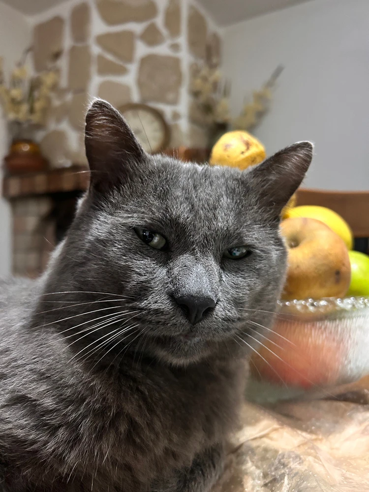 GIF caricata da Sara