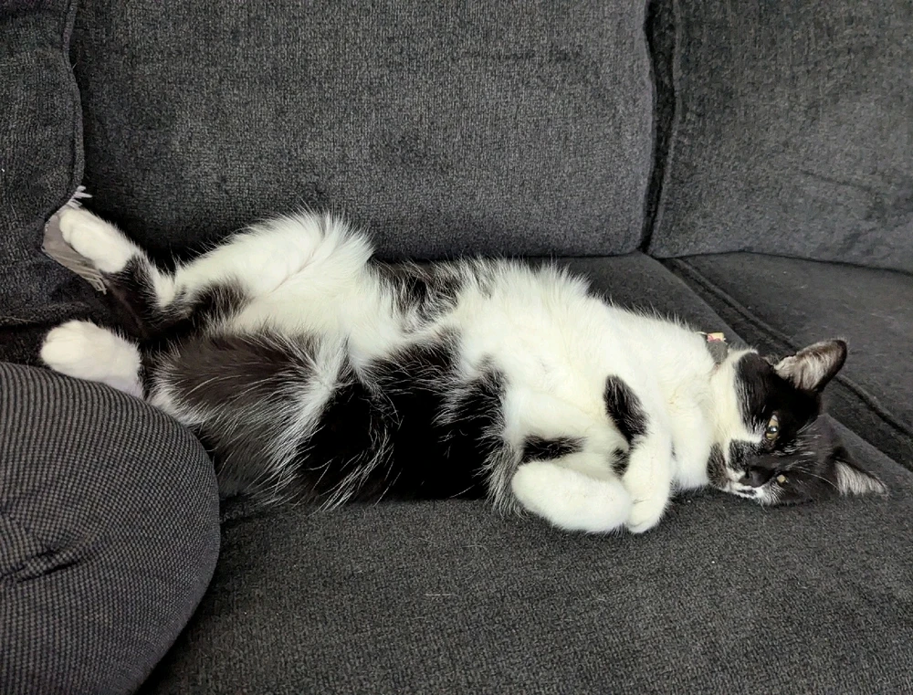 Just a little belly action