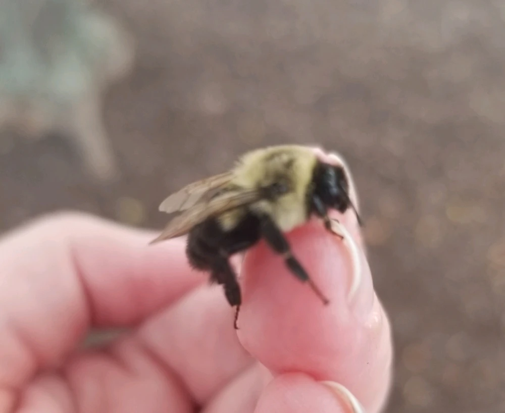 GIF uploaded by Jessi