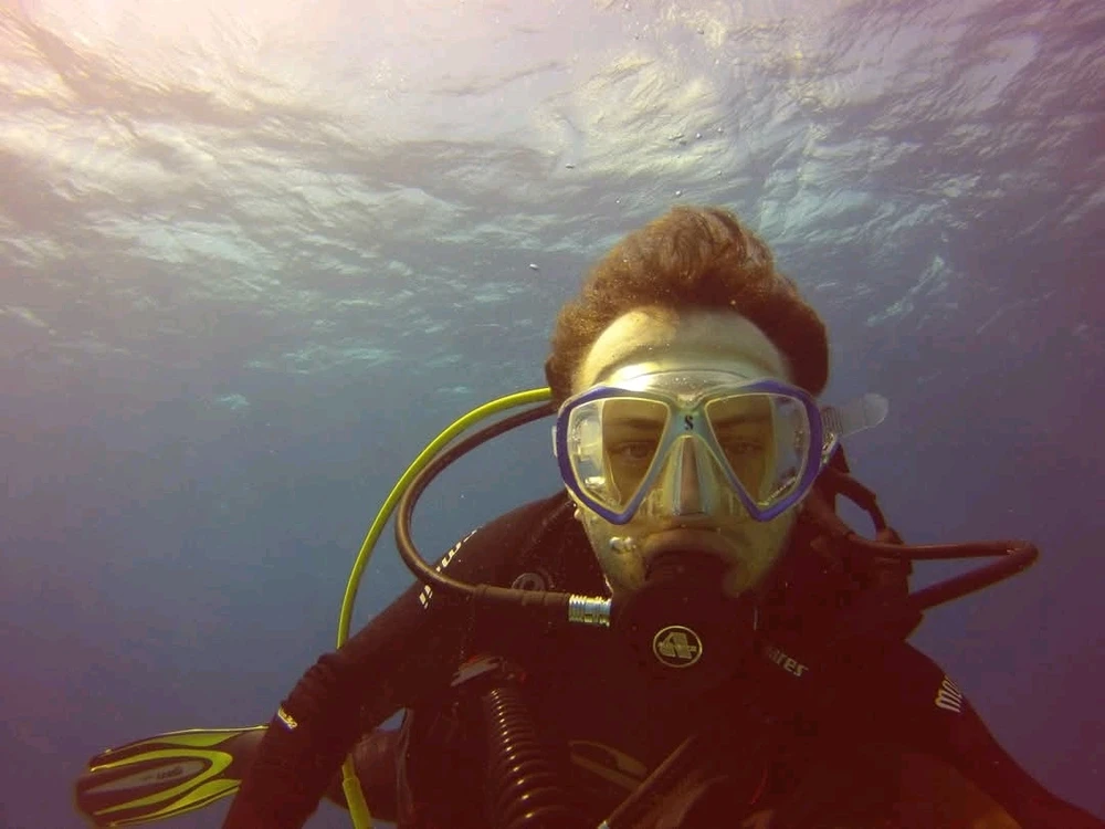 Imagem enviada por Luis Fernando