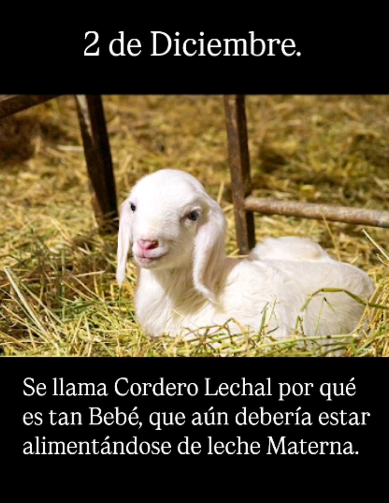 GIF subido por Freddy