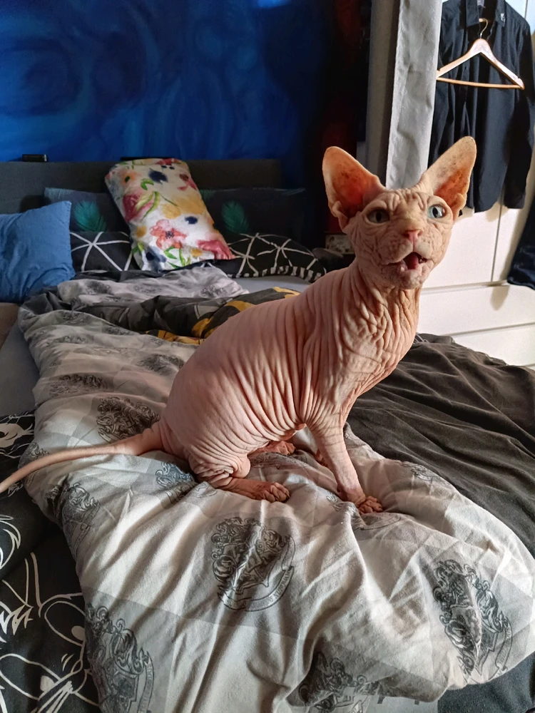 Obrázek nahrál Fiona