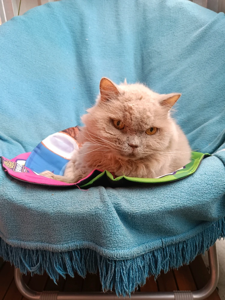 Obrázek nahrál Fiona