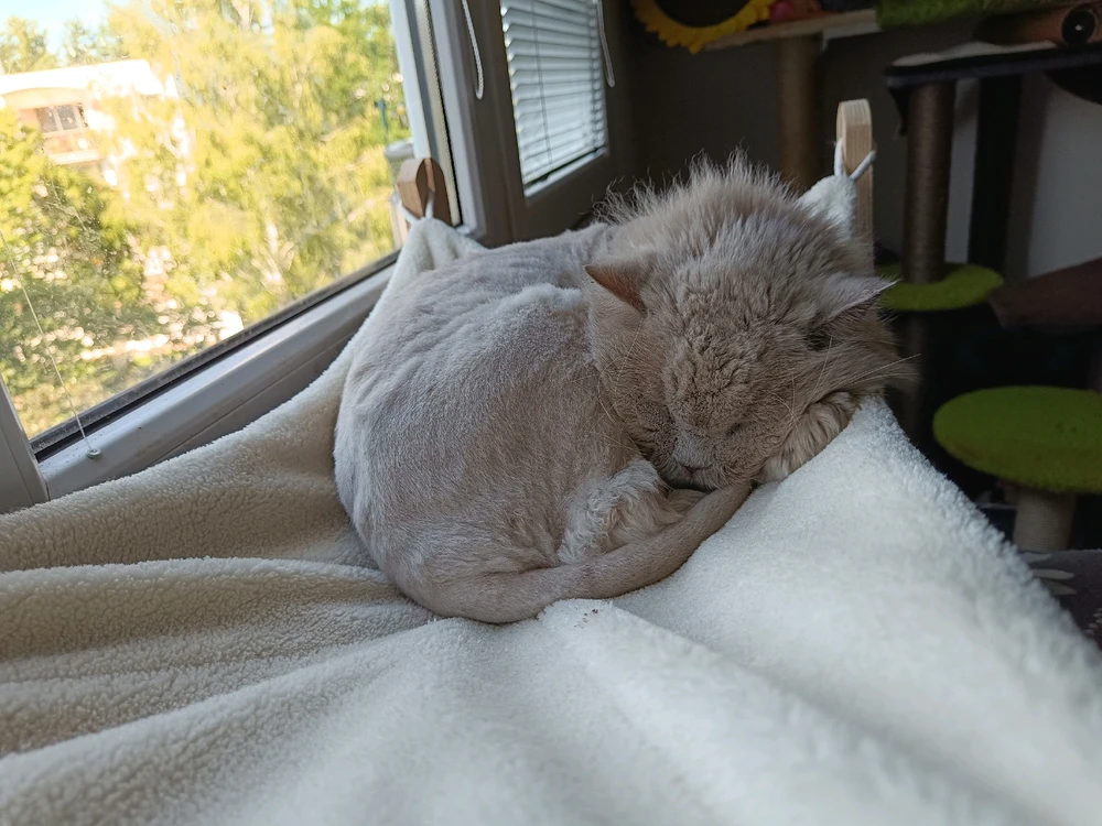 Obrázek nahrál Fiona