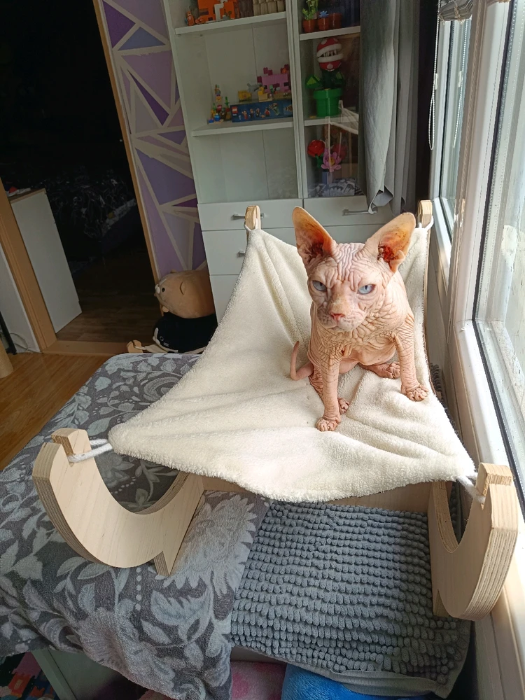 Obrázek nahrál Fiona