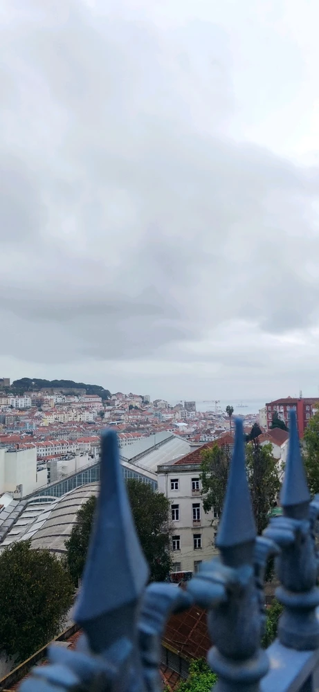 Dario tərəfindən yüklənən şəkil