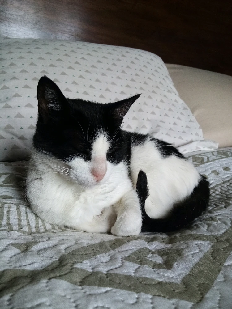 GIF subido por Manu✿♡