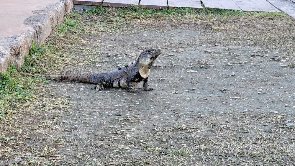 Image uploaded by James