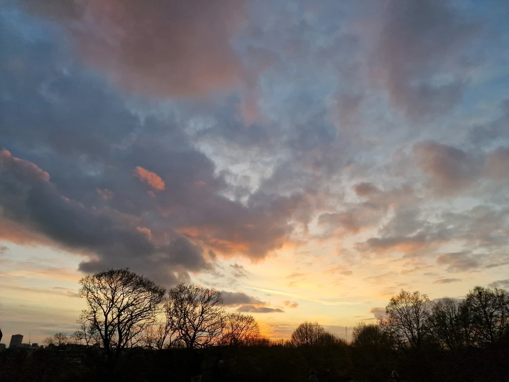 GIF uploaded by Christopher Vidal Love