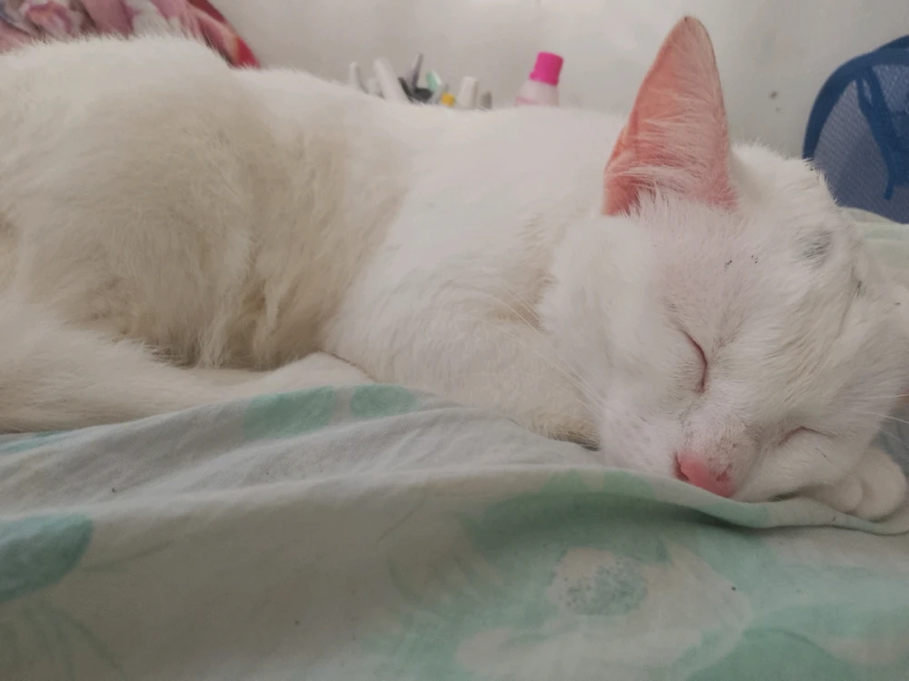 GIF enviado por Grace