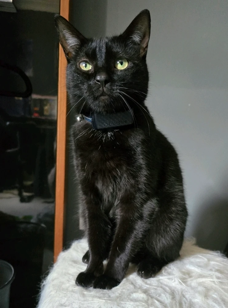 GIF uploaded by Yasmin