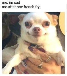 GIF uploaded by 𝓢𝓮𝓻𝓮𝓷 • 𝓢𝓮𝓻𝓮𝓷𝓭𝓲𝓹𝓲𝓽𝔂