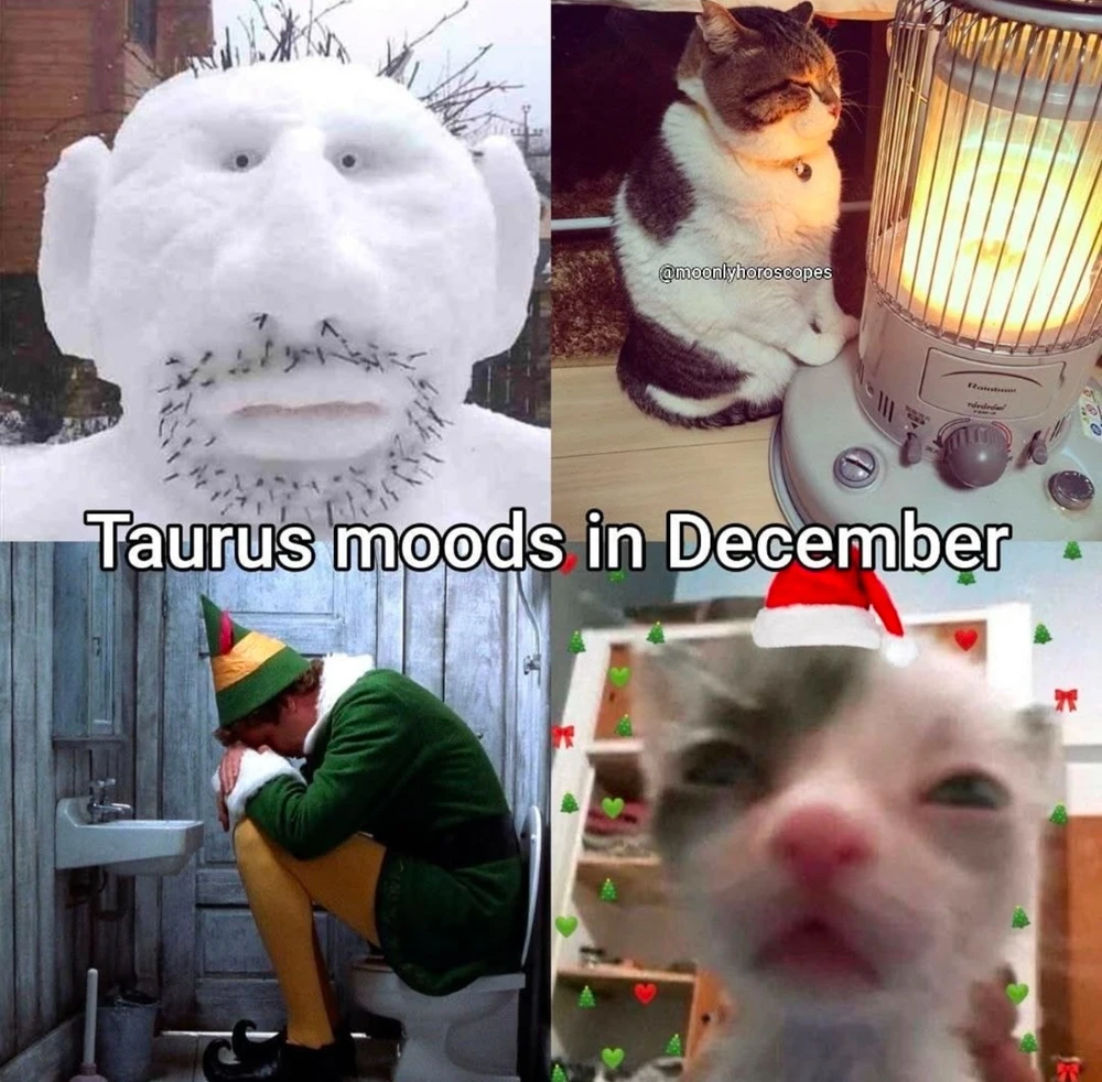 Obrázek nahrál Irónia