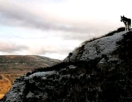 Ben nevis 