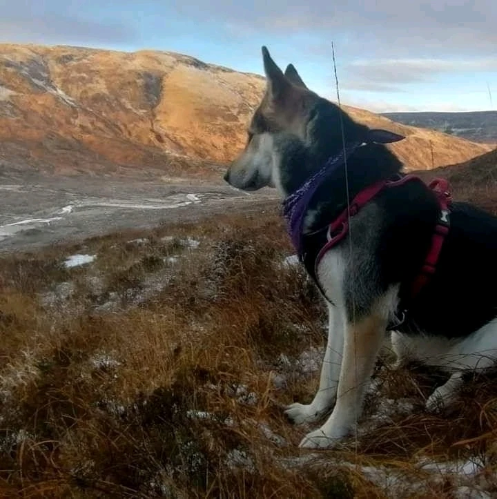 My solo 
Ben nevis 
