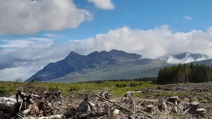 Skie mountanis 