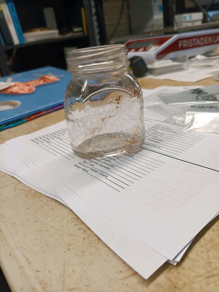 Blue plate mayonnaise jar