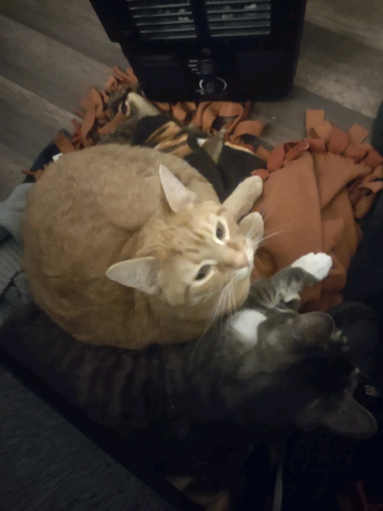 GIF uploaded by Jakob