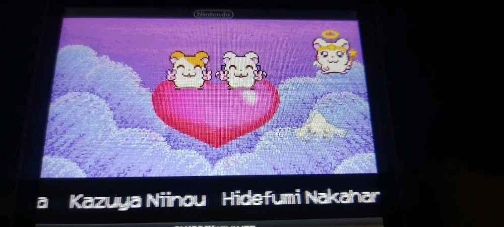 Hamtaro Rompecorazones