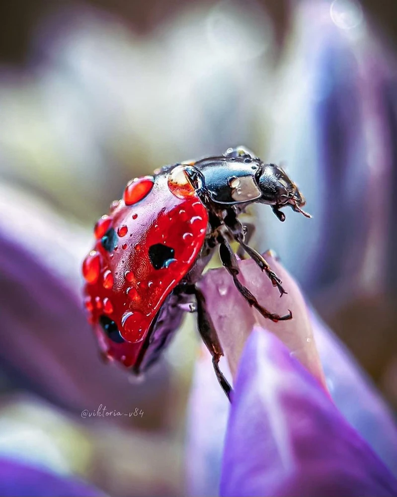 GIF uploaded by Kara